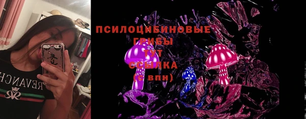 трава Вязьма