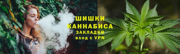 ГАЛЛЮЦИНОГЕННЫЕ ГРИБЫ Горно-Алтайск