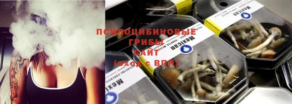 шишки Вязники