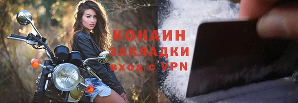ГАЛЛЮЦИНОГЕННЫЕ ГРИБЫ Горно-Алтайск