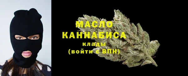 молекула духа Горнозаводск