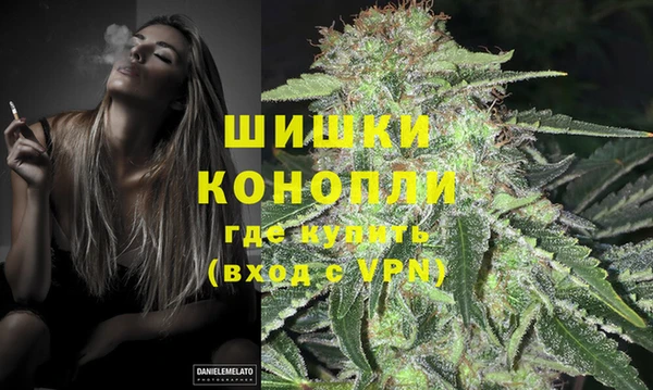 шишки Вязники